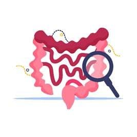 Illustrazione stilizzata dell’intestino con lente di ingrandimento, a richiamare il tema dello screening del colon-retto.