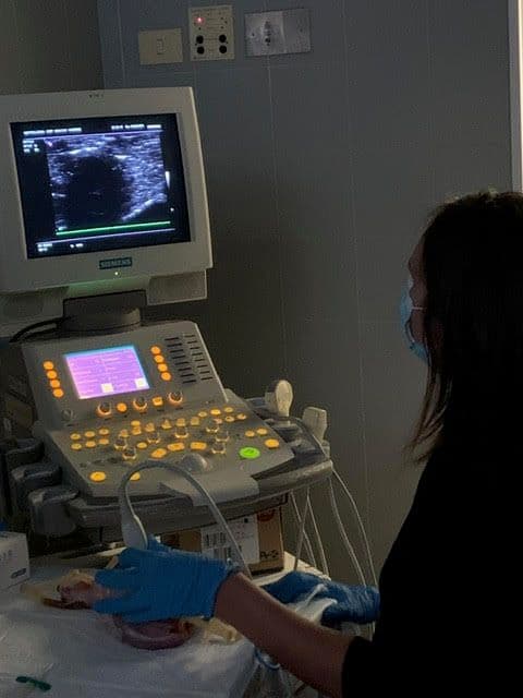 Infermieri con l'ecografo in Dialisi per ottimizzare l'accesso vascolare